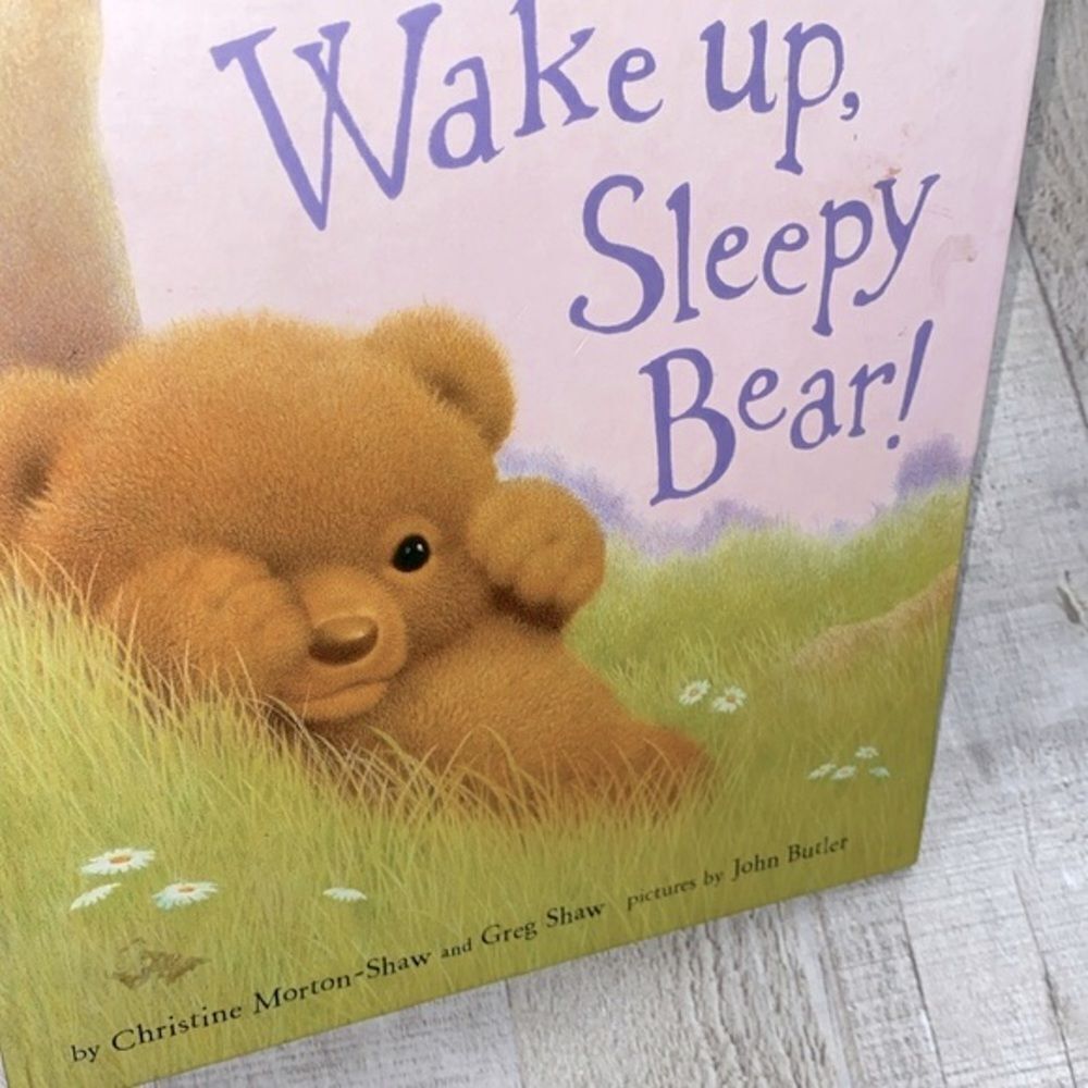 Wake up sleepy bear Childrens book